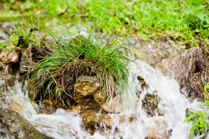 Regenwasser zu Trinkwasser aufbereiten » Geht das?