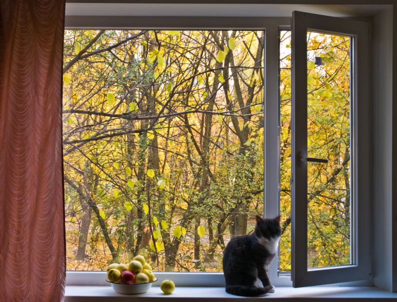 Fenster größentabelle Rohbaumaße von Türen und Fenstern