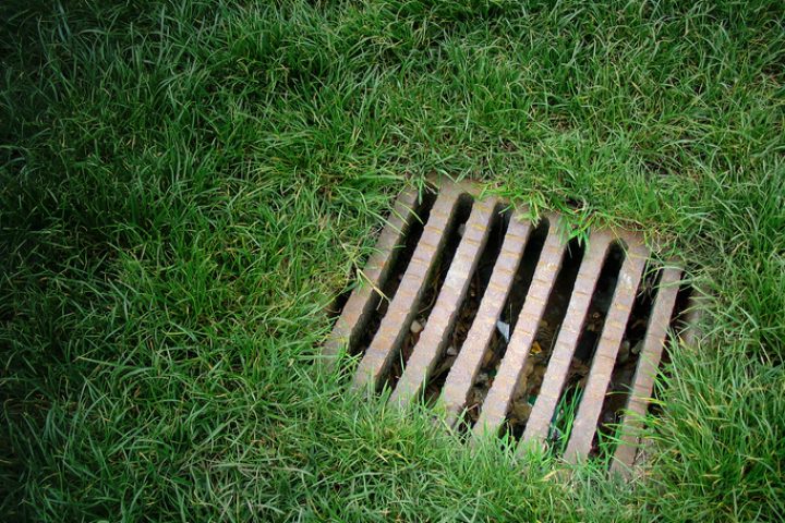 Regenwasserversickerung Im Garten Die Optionen