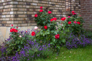 gartenmauer-klinker