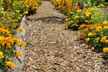 Gartenweg Aus Kies Anlegen Anleitung In Schritten