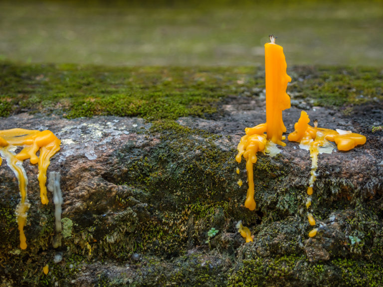 Wunderbar Wachs Von Stein Entfernen Fotos