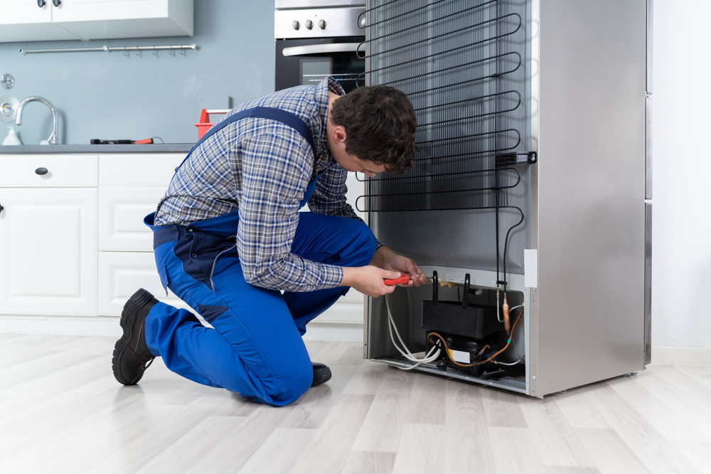 Kühlschrank Reparatur lohnt sich auch für günstig Geräte – Atlas